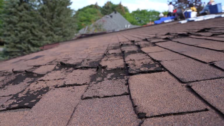 Roof Coating Services in Marshall, AR