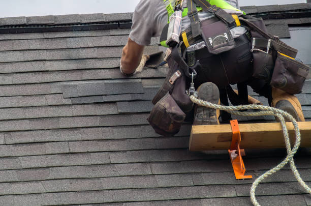Best Roof Insulation Installation  in Mshall, AR