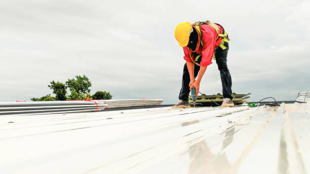 Best Asphalt Shingle Roofing  in Mshall, AR